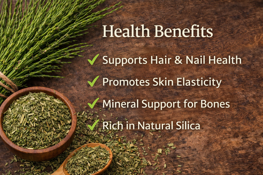 Horsetail Herb 1 oz | Silica Rich Hair & Nail Support | Equisetum arvense | Mineral Herbal Tea